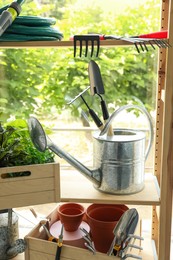Photo of Beautiful plants and gardening tools on rack indoors