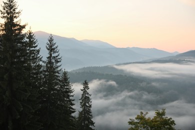 Beautiful view of mountains covered with fog
