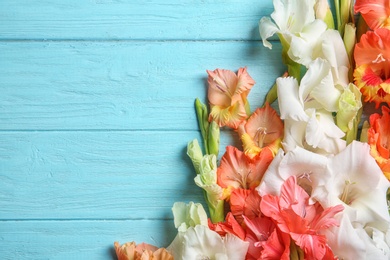 Flat lay composition with beautiful gladiolus flowers on wooden background