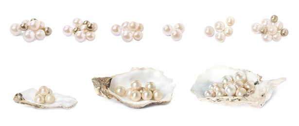 Set with beautiful pearls and oyster shells on white background. Banner design