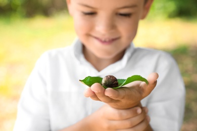 Boy playing with cute snail outdoors, focus on hand. Child spending time in nature