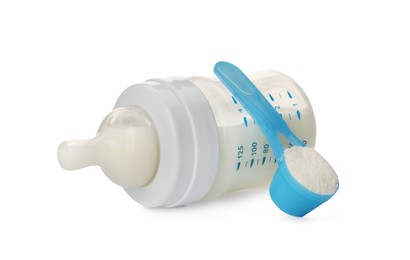 Feeding bottle with infant formula and scoop of powder on white background. Baby milk