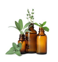 Bottle of essential oil and fresh herbs isolated on white