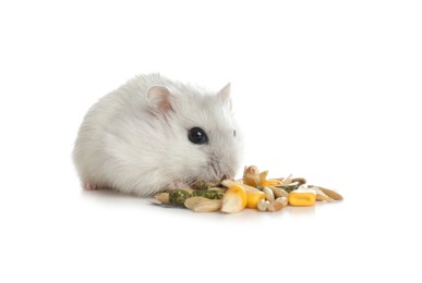Cute funny pearl hamster eating on white background