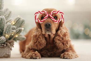 Adorable Cocker Spaniel dog in party glasses near decorative Christmas tree