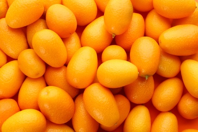 Many fresh ripe kumquats on orange background, top view