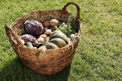 Different fresh ripe vegetables in wicker basket on green grass. Space for text