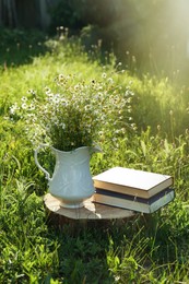 Books and jug with chamomiles on green grass outdoors