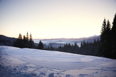 Photo of Picturesque view of snowy hill and conifer forest. Winter beauty