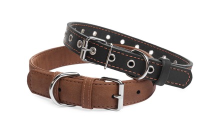 Different leather dog collars on white background