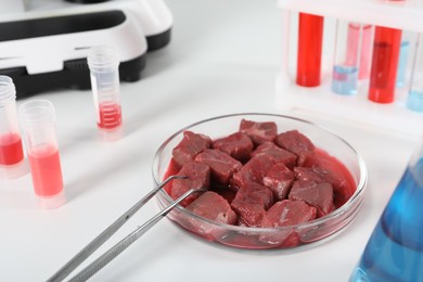 Petri dish with pieces of raw cultured meat, tweezers and samples on white table, closeup