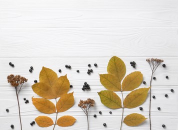 Flat lay composition with autumn leaves, dried yarrow flowers and black berries on white wooden table. Space for text