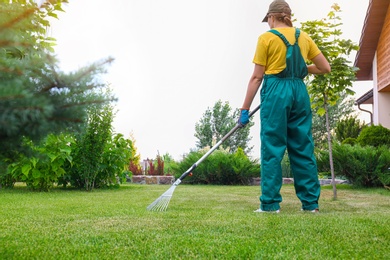Woman raking green lawn at backyard outdoors. Home gardening