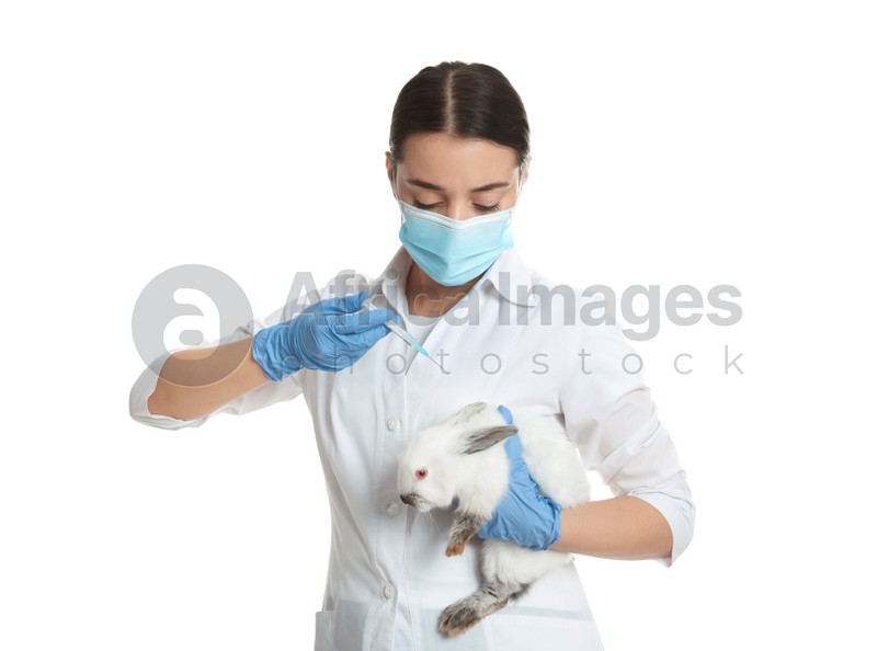 Scientist with syringe and rabbit on white background. Animal testing concept
