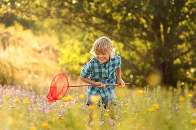 Cute little boy with butterfly net outdoors. Child spending time in nature