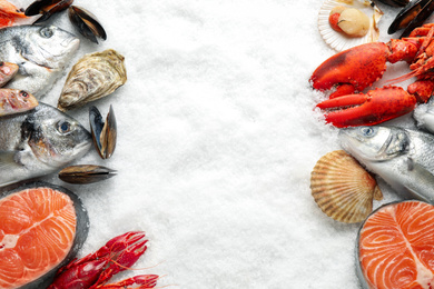 Photo of Fresh fish and seafood on ice, flat lay. Space for text