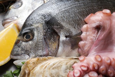 Photo of Fresh raw dorado fish, octopus and oyster on grey table, closeup