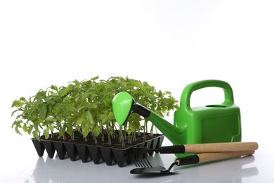 Photo of Gardening accessories and green tomato plants in seedling tray isolated on white