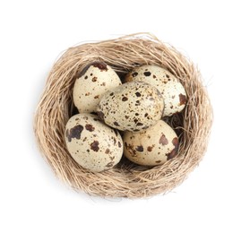Nest with quail eggs isolated on white, top view