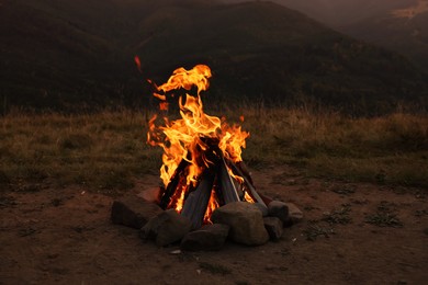 Beautiful bonfire with burning firewood outdoors at night. Camping season
