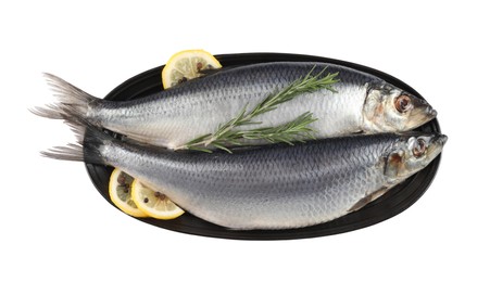 Photo of Plate with salted herrings, slices of lemon, peppercorns and rosemary isolated on white, top view