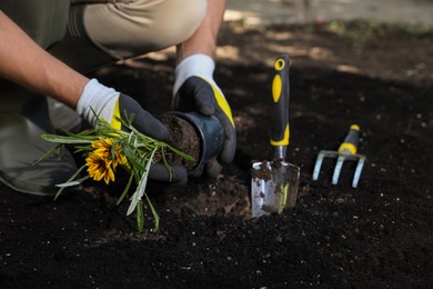 Photo of Man planting flowers outdoors, closeup. Gardening time