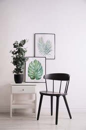 Stylish room interior with modern furniture, beautiful paintings and potted eucalyptus plant near light wall
