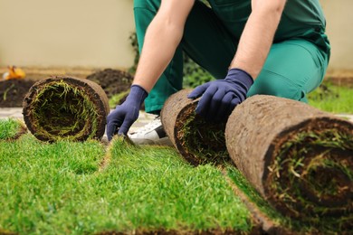 Worker unrolling grass sods at backyard, closeup