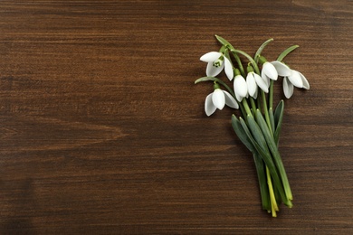 Beautiful snowdrop flowers on wooden table, flat lay. with space for text. Symbol of first spring day