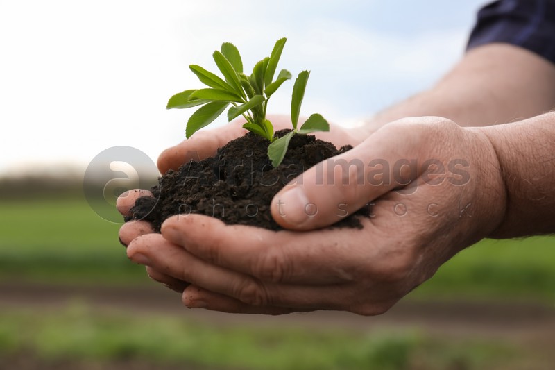Man holding pile of soil with seedling outdoors, closeup
