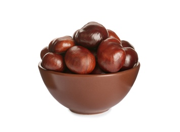 Horse chestnuts in bowl on white background