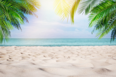 Sandy beach with palms near ocean on sunny day