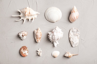 Flat lay composition with seashells on gray background. Beach objects