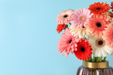 Bouquet of beautiful colorful gerbera flowers in vase on light blue background. Space for text