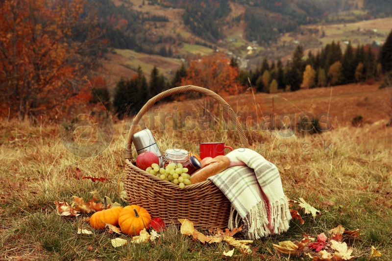 Wicker picnic basket with thermos, snacks and plaid in nature on autumn day