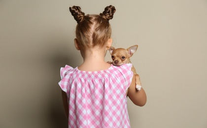 Little girl with her Chihuahua dog on grey background, back view. Childhood pet