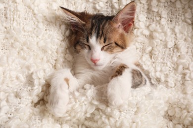 Cute kitten sleeping on soft plaid, top view. Baby animal