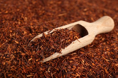 Heap of dry rooibos tea leaves with wooden scoop, closeup view