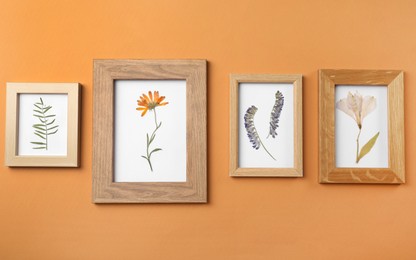 Frames with pressed dried flowers and plant leaf on orange background. Beautiful herbarium