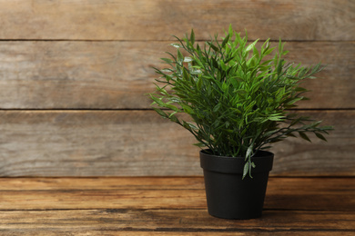 Artificial plant in black flower pot on wooden table. Space for text