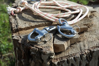 Climbing rope with carabiners on tree stump, closeup
