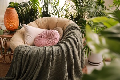 Indoor terrace interior with soft papasan chair and green plants