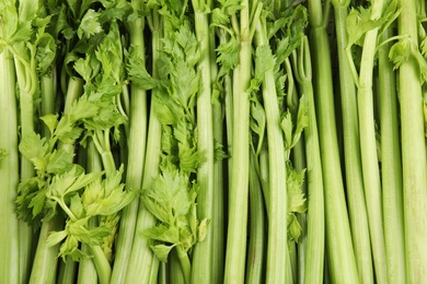 Fresh ripe green celery as background, closeup