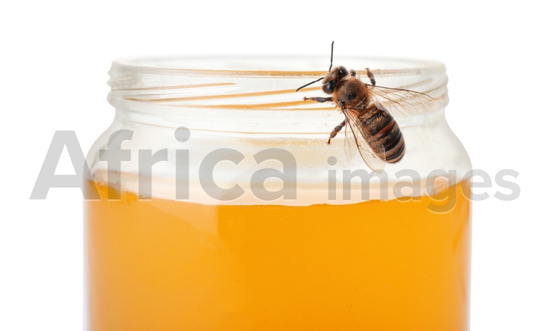 Jar with honey and bee on white background