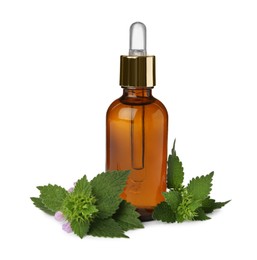 Glass bottle of nettle oil with dropper and leaves isolated on white