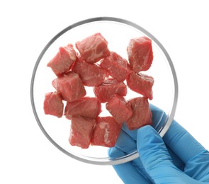 Scientist holding Petri dish with pieces of raw cultured meat on white background, top view