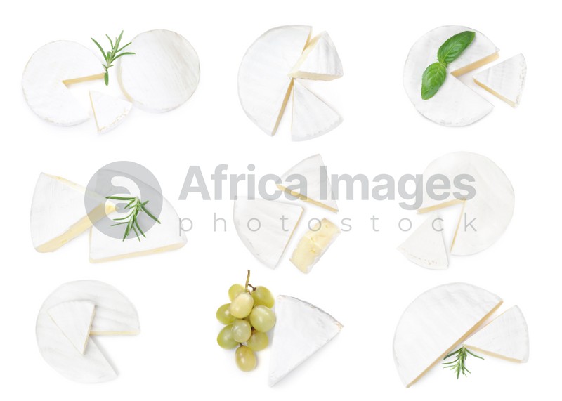 Set with tasty brie cheese on white background, top view 
