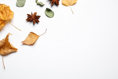 Flat lay composition with autumn leaves and space for text on white background