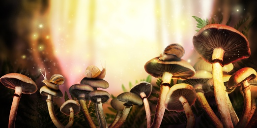 Fantasy world. Mushrooms with snails lit by magic light in enchanted forest, banner design 