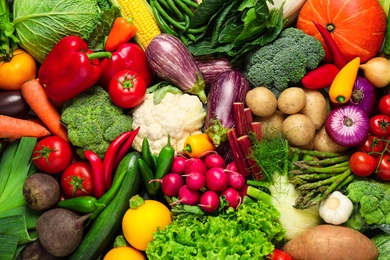Different fresh vegetables as background, closeup view
